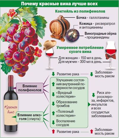 красное вино