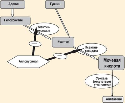 Аллопуринол — инструкция по применению, меры предосторожности, отзывы