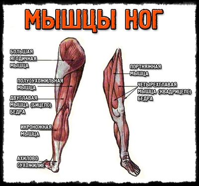 Почему тянет ногу от бедра до колена сзади?