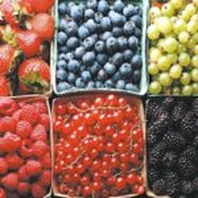ягоды при диабете