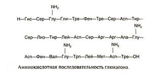 Аминокислоты глюкагона
