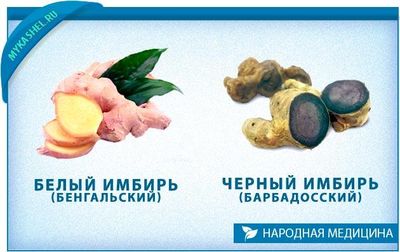 Виды имбиря