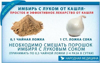 Имбирь с луком неплох при кашле