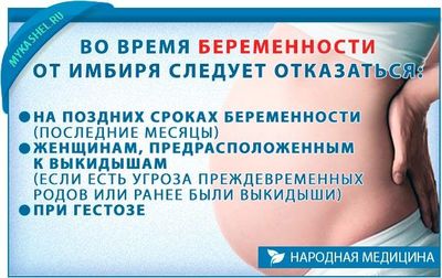 имбирь во время беременности