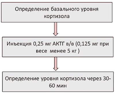 проведение теста стимуляцией АКТГ