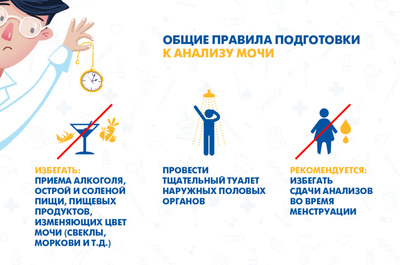 Анализ мочи. подготовка