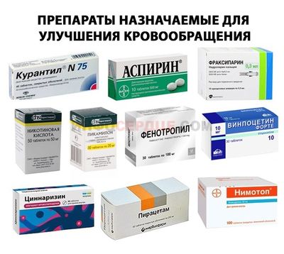 Как улучшить мозговое кровообращение?