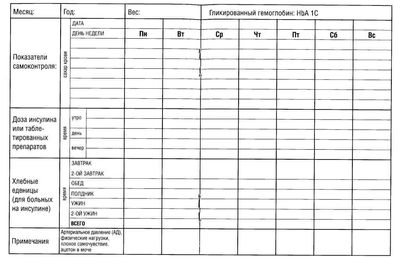 Пример шаблона дневника