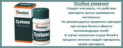 Аналог канефрона