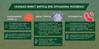 сколько живет коронавирус