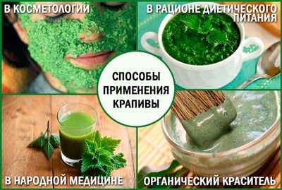 Крапива: способы применения