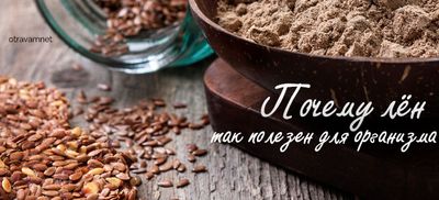 Почему лен так полезен для организма