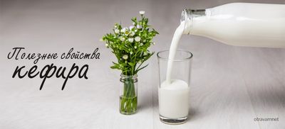 Кефир
