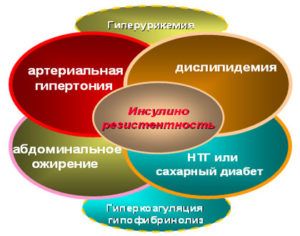 Основные звенья метаболического синдрома