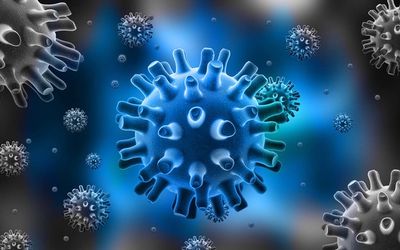 virus-gerpesa