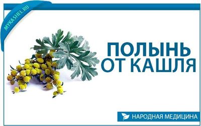 Полынь от кашля: рецепты настойки, настоя, отваров и ингаляции