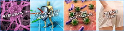 Принципы действия препарата