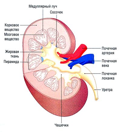 Система фильтрующих каналов