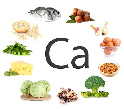 продукты содержащие кальций