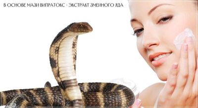 Фармакологическая активность препарата обусловлена направленным действием компонентов