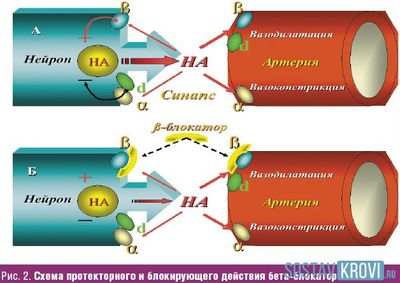 Бета-адреноблокаторы