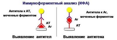 принцип ИФА