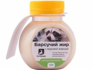 Полезные свойства барсучьего жира