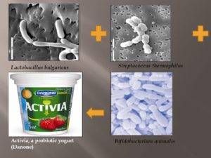 Штаммы пробиотиков B. animalis