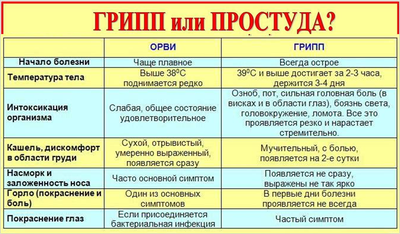 ОРВИ и грипп