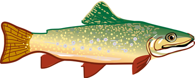 trout72