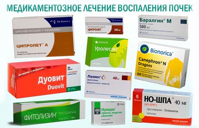 Препараты для лечения почек