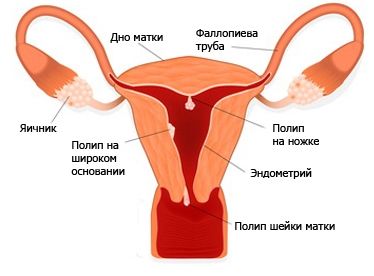 кровянистые выделения при овуляции