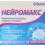 Нейромакс
