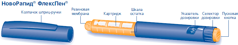 НовоРапид ФлексПен