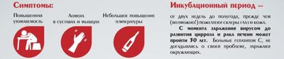 Симптомы и инкубационный период гепатита С