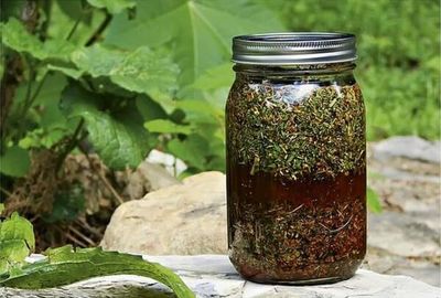 готовая настойка из полыни для лечения
