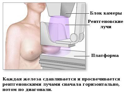 Процедура обследования