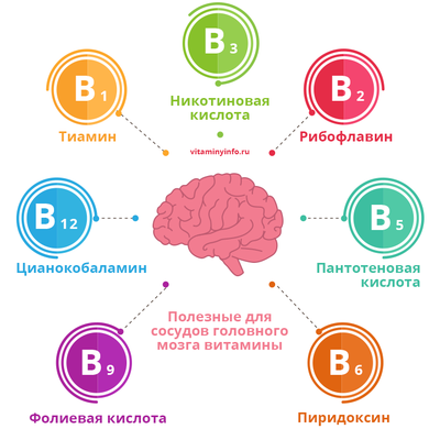 Полезные для сосудов головного мозга витамины
