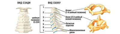 Выбор воротника
