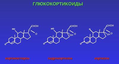 Глюкокортикоиды