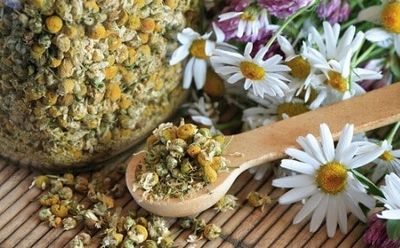 Цветы ромашки